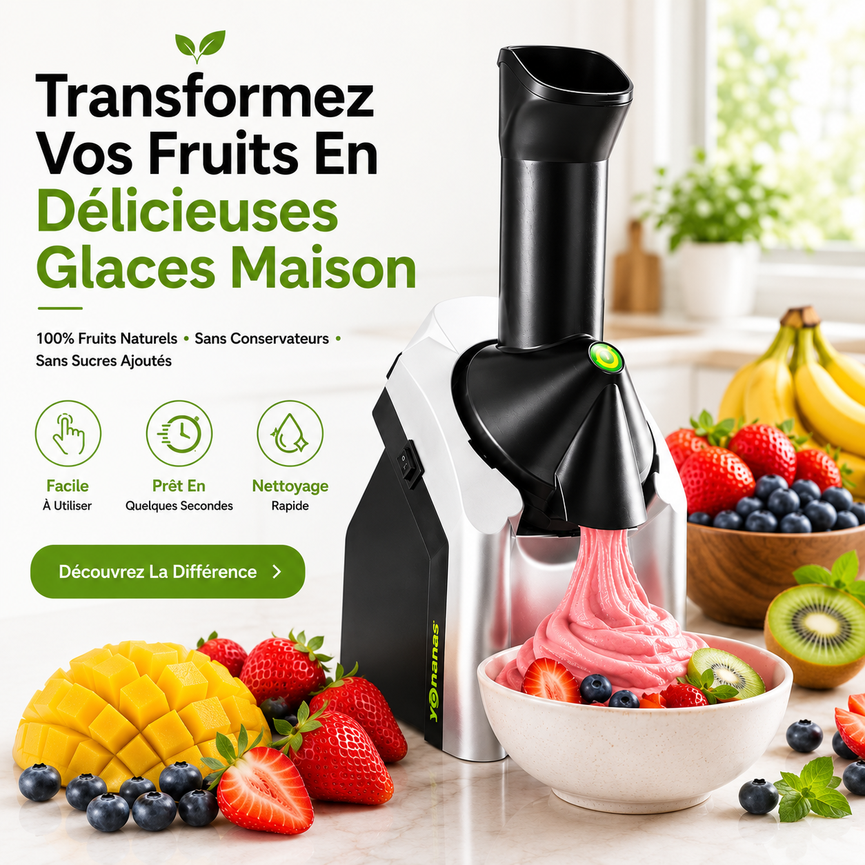 Machine à glace à base de fruits